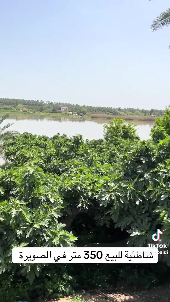 شاطيه اللبيع مساحة الأرض ٣٥٠متر العنوان واسط قضاء الصويره منطقة الداور الشرقي الاستفسار الاتصال ***********
