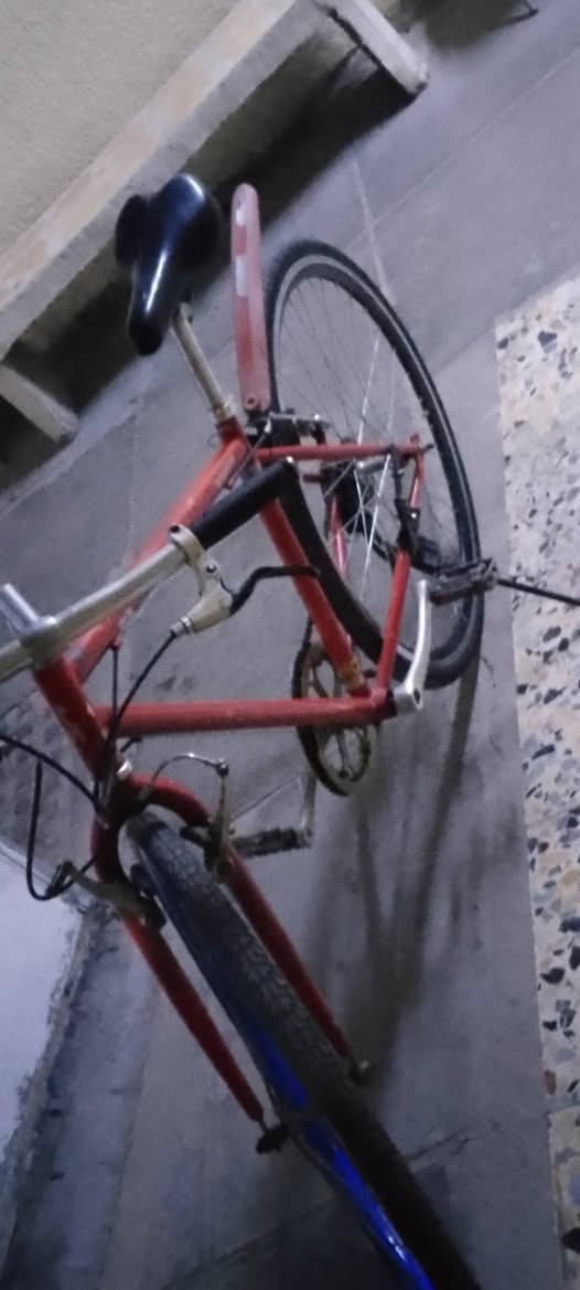 سلام عليكم باسكل سي سبعميه فول موصفات باسكل حلو بس يراتله ترتيبات اريده 65 وبي مجال حك الجيه المكان بغداد حي الاعلام قرب تقاطع درويش رقمي *********** واتساب او مازنجر ملاحظه الباسكل كيوره شغاله بريكات امامي خلفي هم شغاله بس يراتله جاملغ

