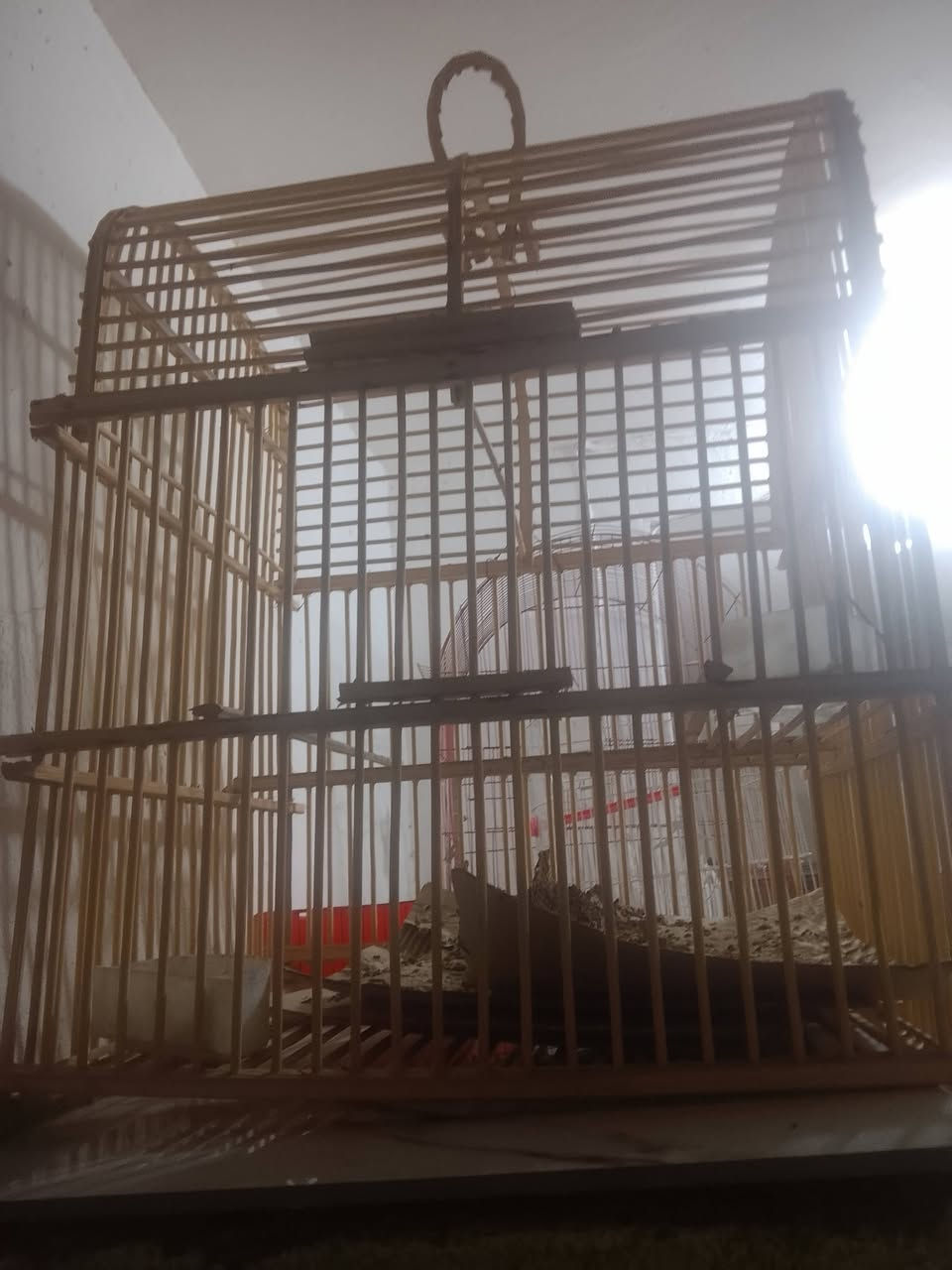 البيع قفص بسعر 15


**إذا كنت صاحب هذا الإعلان وتريد حذفه لأي سبب، رجاءا أرسل رسالة إلى الدعم الفني**