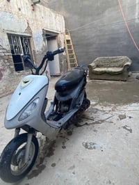 منغولي • ٥٥ • نقوصات