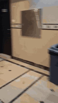 سكن المدينة المنورة • قرب الحرم • نظافة