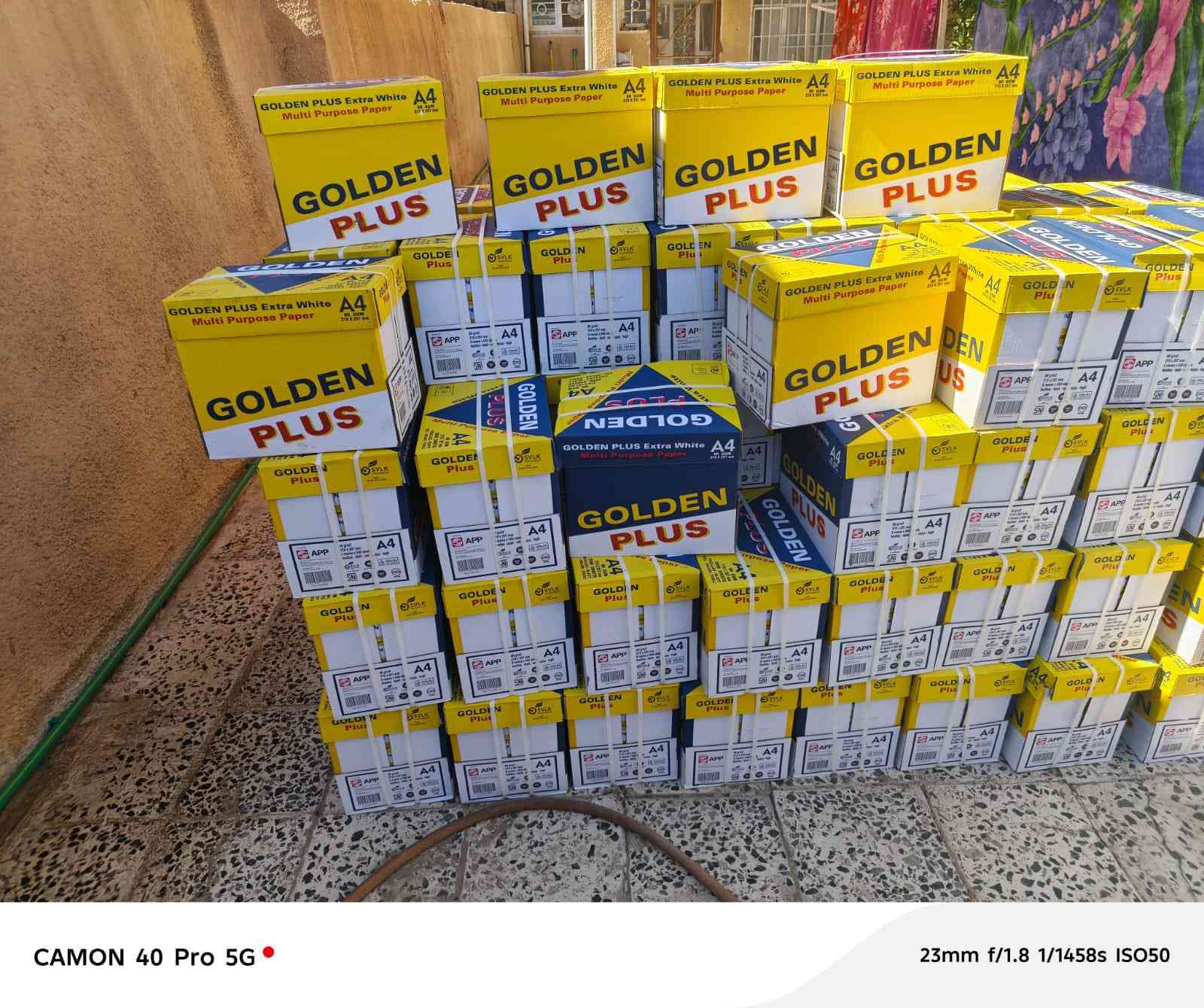 يعلن مركز دجلة للحاسبات  
لزبائنه  الكرام. عن وصول كميات كبيرة من  الورق ماركة GOLDEM
وباسعار تنافسية 

المحمودية مقابل مركز الشرطة
***********
