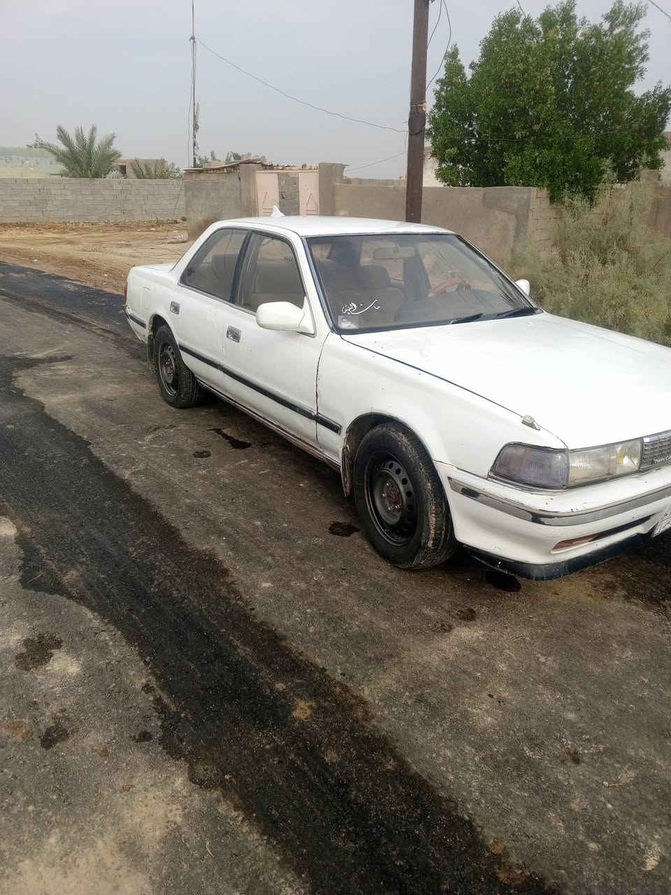 كرسته مسطره مكفوله من الكص من ضربه ولعيب الشرعي .رقم الانبار تحويل موجود راعيهة موجود مكانها الرفاعي ***********
