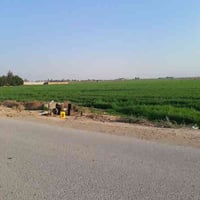 أرض زراعية • ١٦ دونم • العزيزية واسط