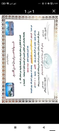 عمرة بدل • للمتوفى والمريض • شهادة وفيديوات