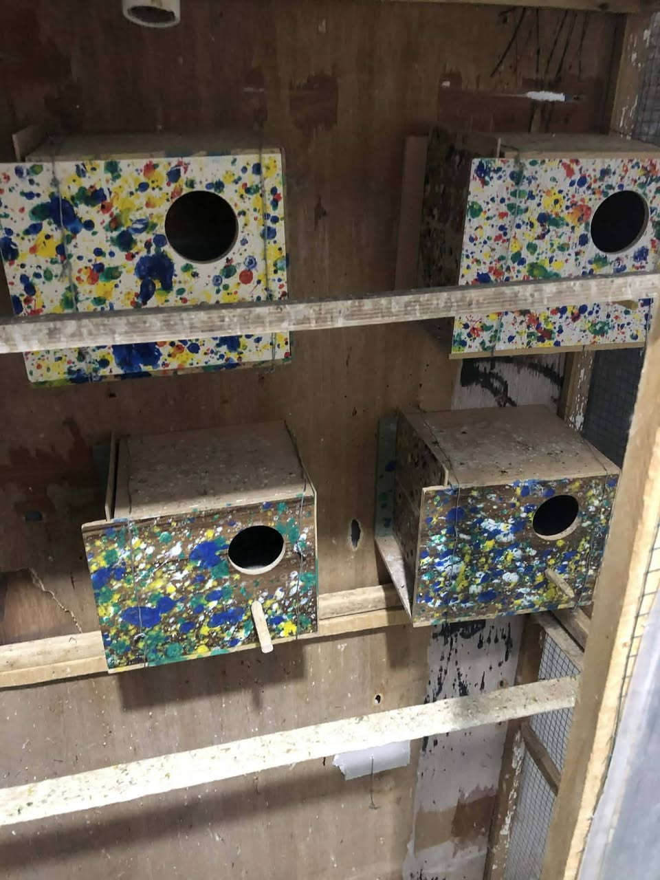 السلام عليكم
قفص ارتفاع 170
عرض 160 القفص نضيف بشكل ويا الابيوت عدد 4 
وياه قفص اصغير كلهن شلع 30قفل مكاني مجمع الدور
***********
