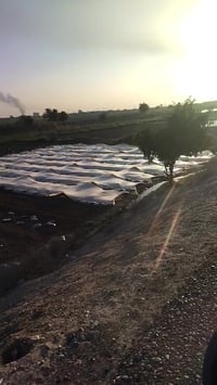 دراجه بيع • أدوات مجففه • القرنه العلوه