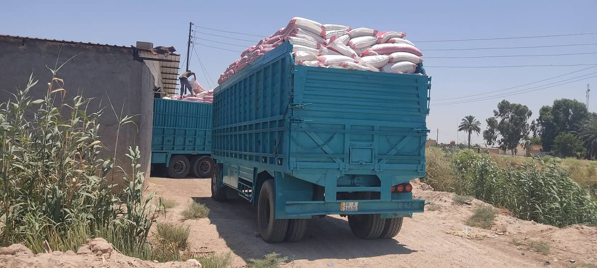 عربانه البيع طول ٧ونص  مكانه بابل سعر ٥٥ وبيه مجال ***********
