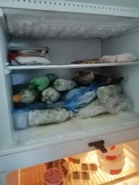 ثلاجه حجم جبير • تبريد وتجميد • جسر ديالى