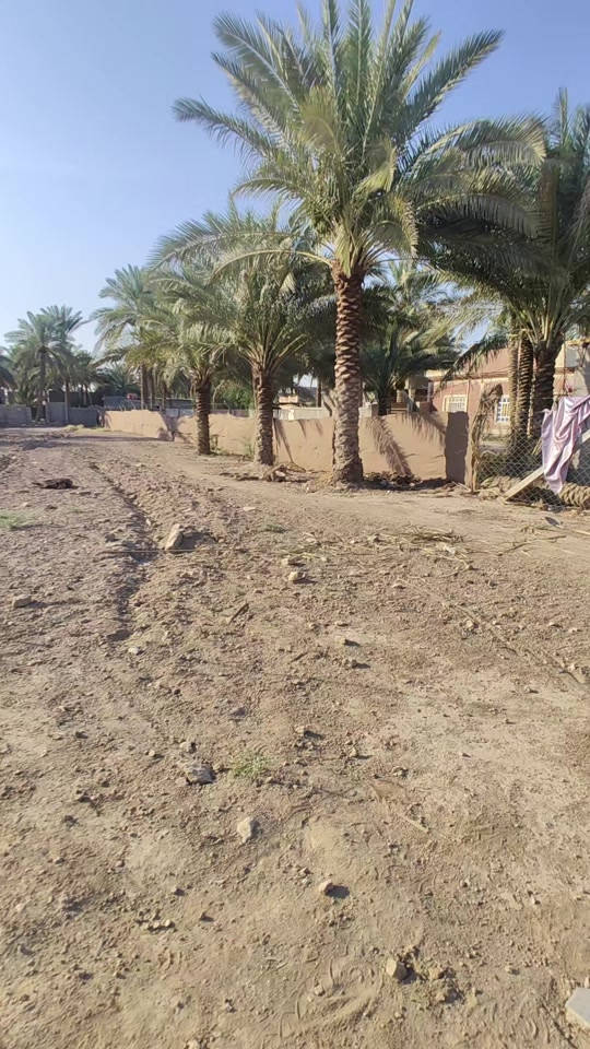 قطع ارظى مساحه 800متر  في  كربلاء شارع بغداد خلف جامعة وارث خلف مدينة سيد الاوصياع  تفاصيل كامله داخل الفيديو كافة الخدمات  ماء كهرباء مؤلد   كلشي متوفر الاستفسار اتصل واتساب *********** *********** ***********
