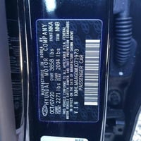 النترا ٢٠٢١ • وارد امريكي • صبغ شامل