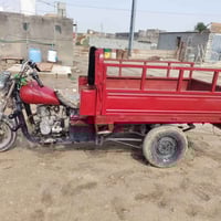 ستوته • مشروطه • شاصي مكفول