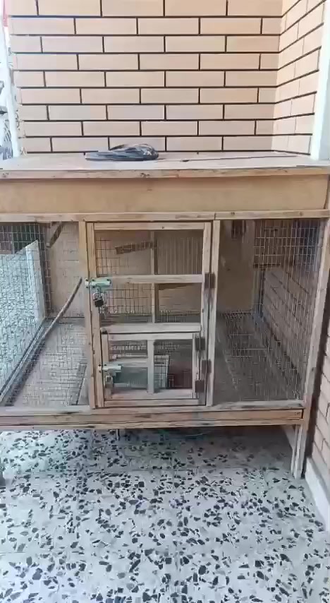 مكلف بلنشر 
السلام عليكم متاح قفص خشب 
الواجهة 130 نزال 100 الارتفاع 130 
كلوب حراري 
معلف كبير 
بيوت تكاثر 4 
يرهم جميع انواع الحيوانات 
طيور دجاج بلابل 
مجر تنظيف 
المكان بغداد سبع البور 
الرقم ‏‪***********‬‏
الرقم ‏‪***********‬‏
ملاحظة : هذا رقم صاحب القفص أرسلو واتساب
