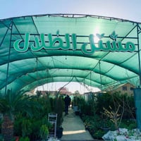 مشتل الظلال • أشجار فاكهة • الحود