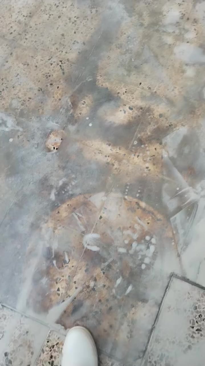 السلام عليكم مستعدون عمل جلي موقعي وتلميع تنضيف كل أنواع كاشي جديد وقديم شغل درجه اولا بسعر مناسب ***********
