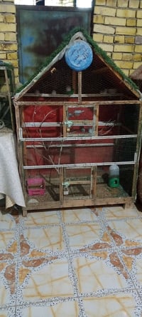 قفص • نضيف • متر ونص×١٣٠×٧٠