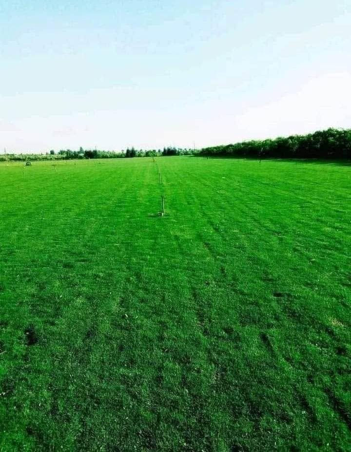 تخفيضاتنا غير شكل 😍
#التوصيل صار مجاني ☄️
#اسرع توصيل بالعراق لباب البيت ☑️

من مزارع الاوس يتوفر لدينا ثيل درجة اولى بكافة  انواعه
#يتوفر  توصيل لكافة محافظات العراق

متوفر لدينا كافة انواع الثيل الطبيعي💚
#نوعية ممتازة  هندي - امريكي - ايطالي فرنسي... 🌿☘️🍀
وبأسعار تنافسية 
 لدينا كادر متخصص في زراعة الثيل بطريقة صحيحة وناجحة

مستعدون لتجهيز الحدائق العامة والمتنزهات والملاعب  
يوجد توصيل الى كافه المحافظات
للتواصل او الاستفسار اتصل على :
‎
***********
***********
