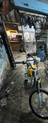 ماكس منغولي • اوراق • نضيفه