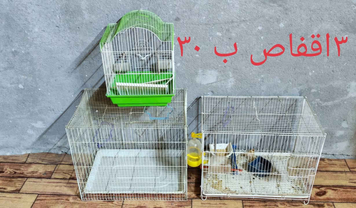 غراض للبيع الأسعار بالصور التواصل خاص


**إذا كنت صاحب هذا الإعلان وتريد حذفه لأي سبب، رجاءا أرسل رسالة إلى الدعم الفني**