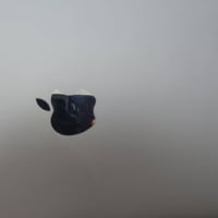 ايباد m5 ٢٥٦ • بطارية ١٠٠٪ • ديوانيه
