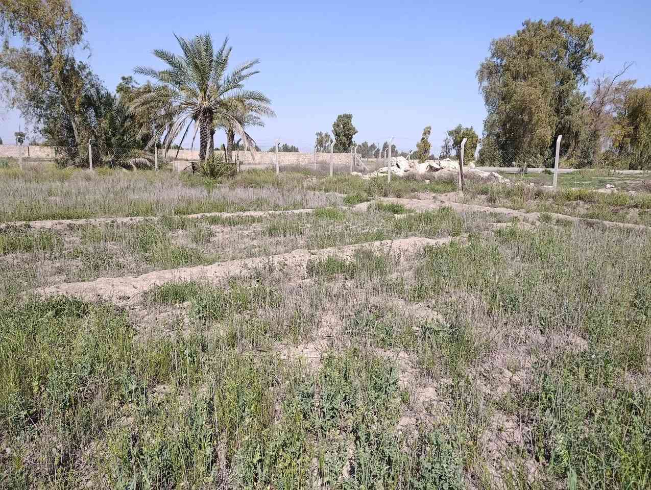 متوفر 3 دونم وربع مجاور محطه  البوعسل قرب مزارع طيبه   عقد 35 سياج بي ار سي ماء وكهرباء ونخل بيها  عرضها 43 م ونزال 207 م للبيع
متوفر 3 دونم وربع
 مجاور محطه  البوعسل 
 عقد 35 
سياج بي ار سي ماء وكهرباء ونخل بيها 
 عرضها 43 م ونزال 207 م

 للبيع 
الاستفسار 
***********
***********
