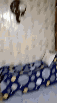 الوشاش • ٦٨م • صالة وغرفة