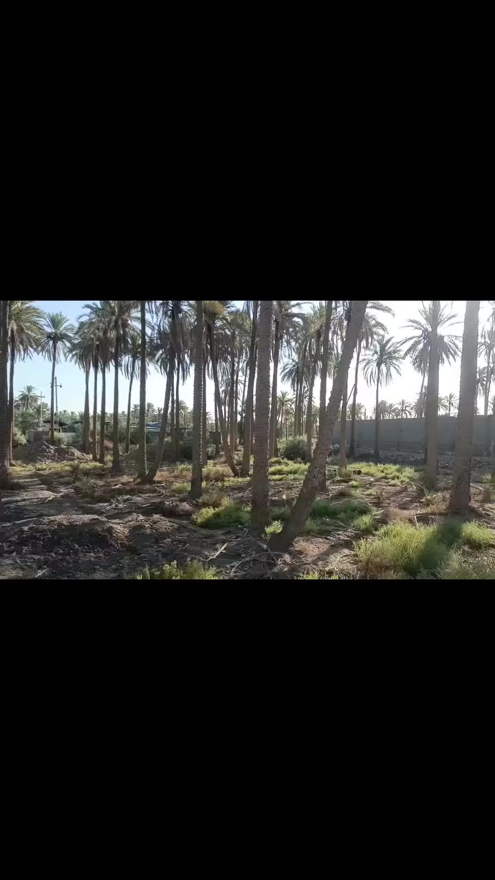 السلام عليكم ورحمة الله 
لدينا دونم سند 25 تحويل مباشر يحتوي على وجه شارع تبليط 33 متر، وجه ثاني شارع ترابي 42 متر كافة الخدمات متوفره، مدارس، مركز صحي السعر 160 مع المجال الاتصال على الارقام التالية 
***********
واتساب على الرقم ***********
