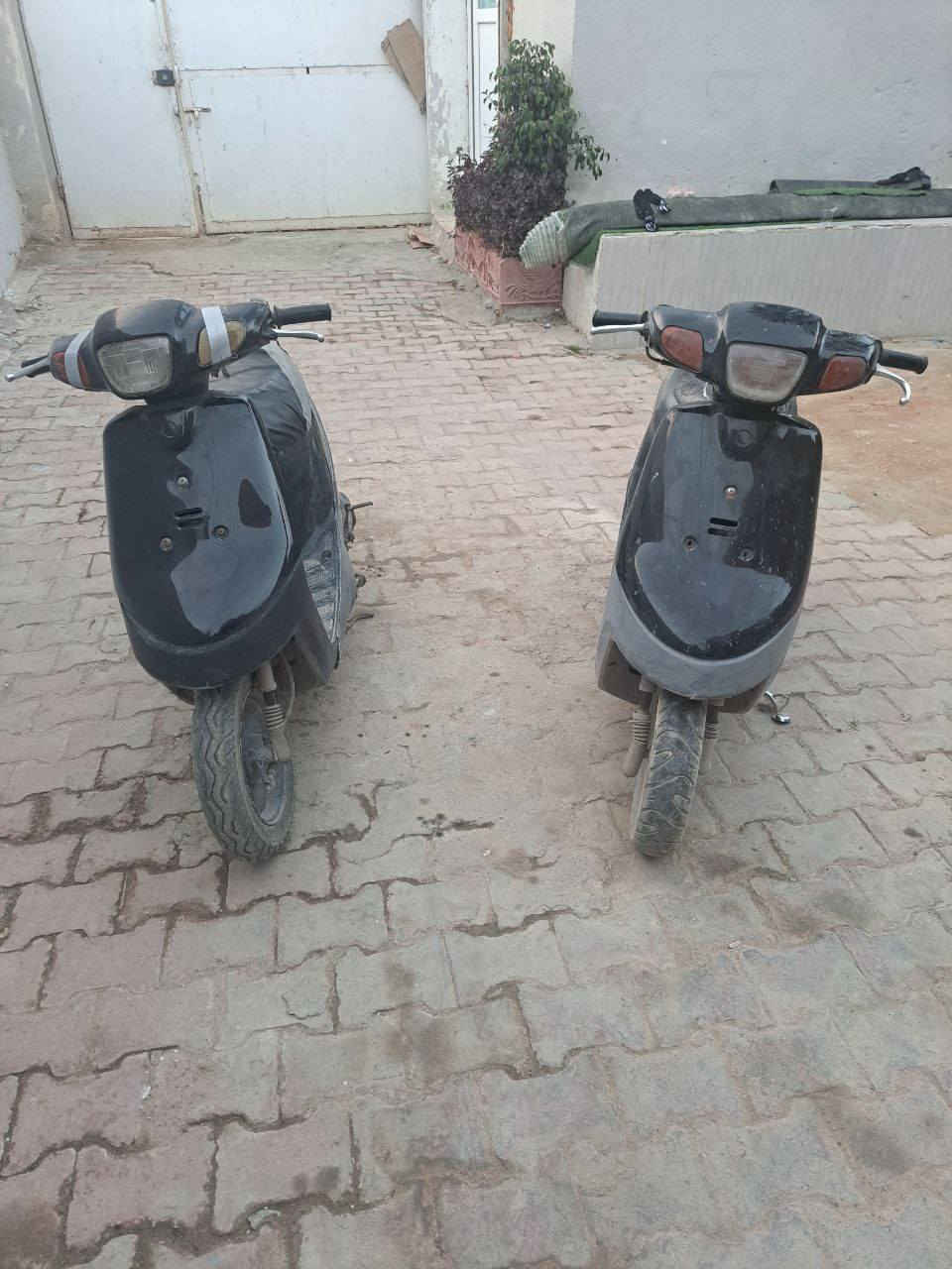 مطفيات صارلهن هواي قيم واخذ


**إذا كنت صاحب هذا الإعلان وتريد حذفه لأي سبب، رجاءا أرسل رسالة إلى الدعم الفني**