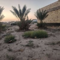 ارض زراعي • ٣٣٠م • البوصالح