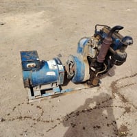 مولده هندي البيع راس التوليد سبعه ونص السعر 600 الف 07819620054