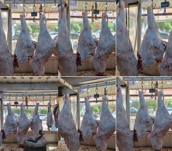 تعلن قصابة ابو تراب عن توصيل الطلبات مجاني لكافة مناطق الكوت
على بركة الله تعالى
بسم الله الرحمن الرحيم
قصابة ابو تراب الان
بعون الله تعالى وتبارك تم تجهيز قصابة ابو تراب بلحم عجل عراقي ولحم غنم عراقي ومن الله التوفيق
تموز مقابل جامع ابو تراب
قصابة ابو تراب
***********
***********
***********
توجد خدمة تةصيل
اهلآ وسهلآ بالزائرين الكرام
ولكم جزيل الشكر والتقدير
