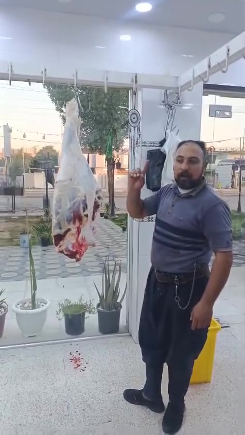 بسم الله الرحمن الرحيم يالله
ليوم الثنين ٢٢ يعلن مطعم الماجد و قصابه الماجد عن بيع الحم عجل عراقي 
عنوان المسيب حي المعلمين مجاور اسواق الباشا   
***********
