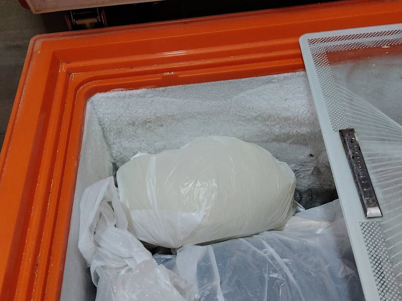 سلام عليكم ثلاجة + مجمدة
شغالات فول نوع مجمدة كينوت 
وثلاجة كونكور ثنينهن 250 بغداد مدينة الصدر 
*********** رقم الاستفسار
