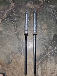 شاصي • هوندا اصلي • ٢٠١٩