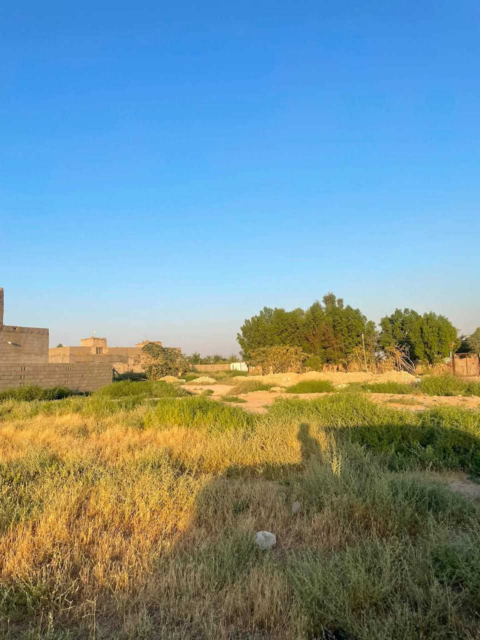 قطعه ارض للبيع الاوسمه خلف معمل غاز المهيوب مساحتها 200م مربع ***********
