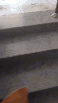 بيت بين الصحة وابو دشير مساحة ١٢٠ متر بناء حديث وكامل والكمال لله ماء كهرباء سند اصلي الي يحب يشتري على هذا رقم ***********
