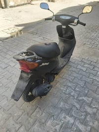عصفورية • سودة • مكفولة