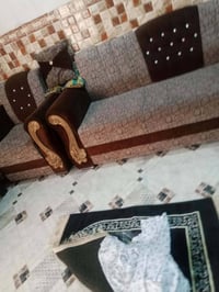 تخم 10 نفرات للبيع 07824962796