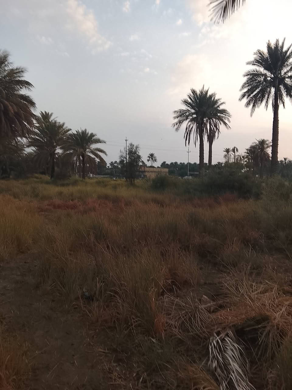 دونمين ونص مع نخيل سند 25 للبيع  كافت الخدمات تبليط مي كهرباء


**إذا كنت صاحب هذا الإعلان وتريد حذفه لأي سبب، رجاءا أرسل رسالة إلى الدعم الفني**