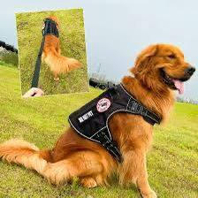 عندي ذني الغراض للبيع


**إذا كنت صاحب هذا الإعلان وتريد حذفه لأي سبب، رجاءا أرسل رسالة إلى الدعم الفني**