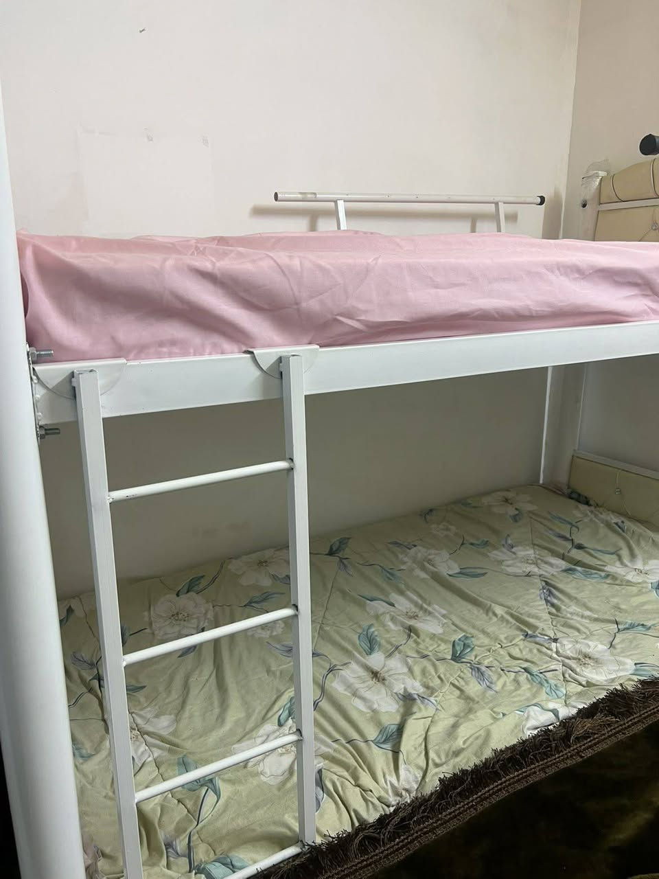 سیسەمی تازەو  نوێ
دوو حەفتەیەکڕاوە
بەکارنەهاتوە
دووقاتە، بەدۆشەکەوەیە
۲۳۰هەزارو معاملە
هەولێر


**إذا كنت صاحب هذا الإعلان وتريد حذفه لأي سبب، رجاءا أرسل رسالة إلى الدعم الفني**