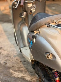 مصرية • مفتوحة • خاص