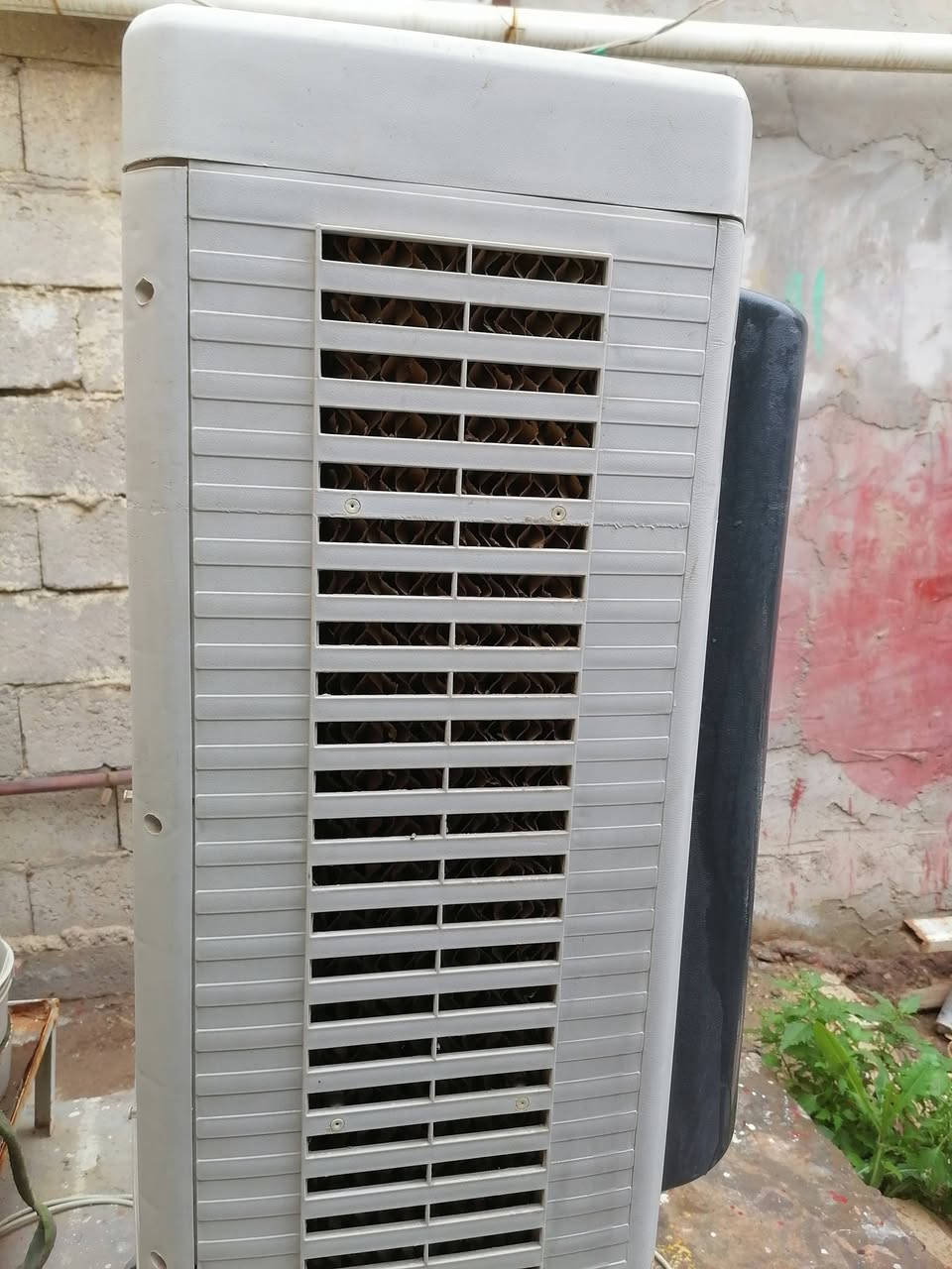 السلام عليكم، كونفيرا ماركة سوبر امبريال حجم وسط للبيع نضافه جيده جدا شغاله ثلاث سرع مع الحلفه وتايرات،، كونفيرا كامله السعر 100


**إذا كنت صاحب هذا الإعلان وتريد حذفه لأي سبب، رجاءا أرسل رسالة إلى الدعم الفني**