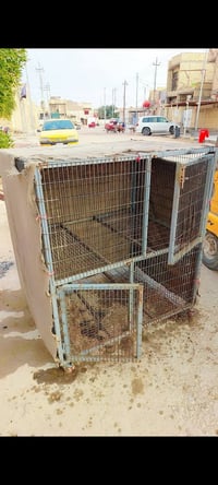 قفص حديد • بابين • ميسان