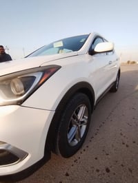 سنتافي • ٢٠١٨ • رقم اربيل