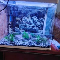 حوض سمك صيني • فلتر سقفي • ٤٠ سم