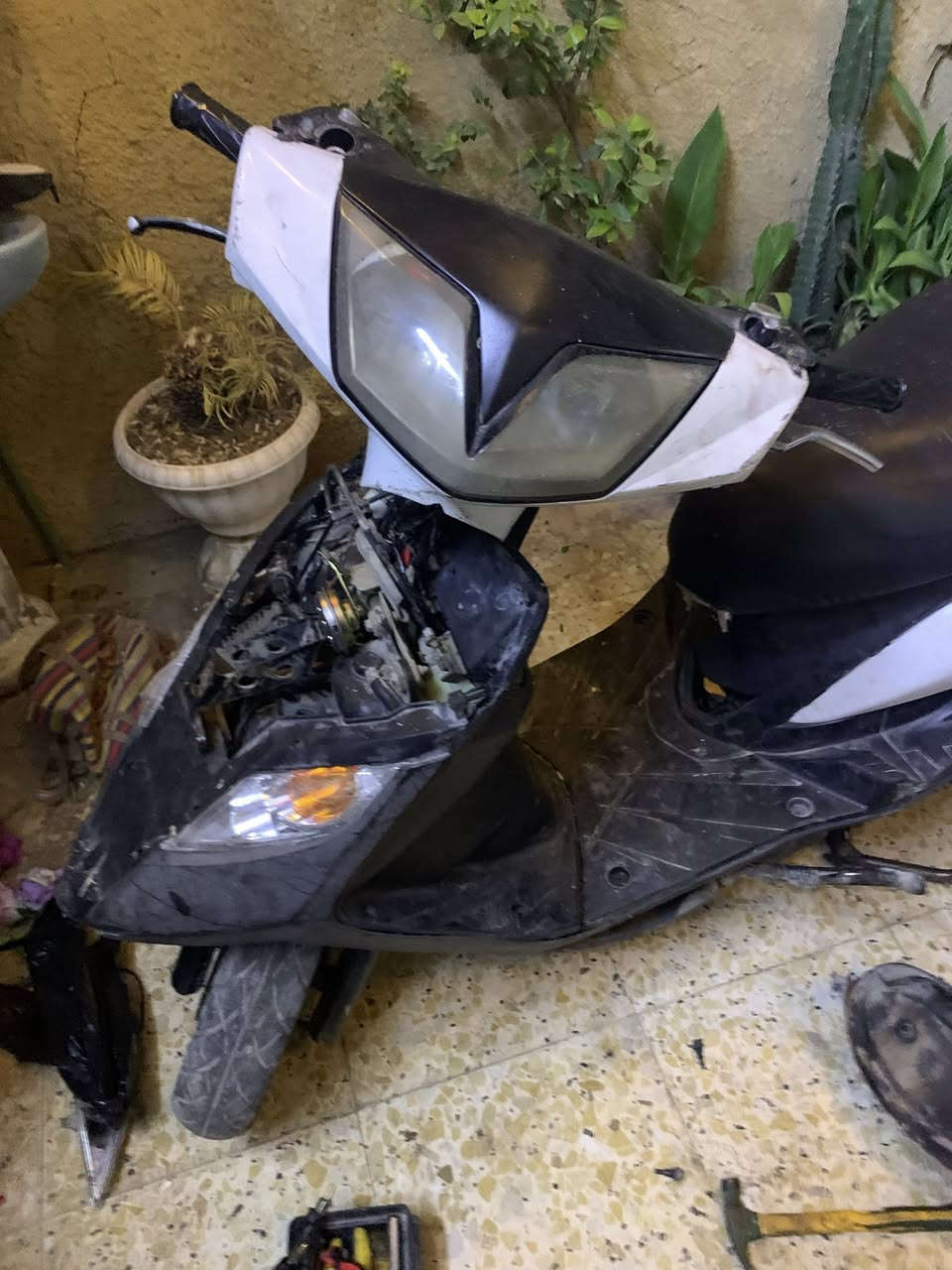 سلام عليكم دراجه ثعلب تفصيخ شتريد موجود وأسعار بلاش مكاني العبيدي رقم ***********

كفرات +سوادات كامله ٧٥ 

دبلات امامي وخلفي بلاد ب٣٥

صالنصه ٣٠ 

فج +عنبار +صونده ب٢٥

كشن بلاد ب٣٠ كامل

كلاص بانزين ب١٥

ملف +بنكه +قبق فلاوين ٢٠ 

عقل وهورن بلاد ١٥

فاكيوم+كابريتر تجاري ب٢٠ 

ذيل +بكليات خلفي لد ٢٥

ضفيره +كتف شحن ٢٠ 

ويل عدد ٢هنا وتاراتهن ب٣٠ 

جوزه بلاد ١٥ 

شوته ٥

اشاير تخم صفاح ب٢٥ 

دشبول كامل ب٣٠ 

مجمع دكم كامل ب١٥ 

ستان صفح ب٥ 

صينيه ب٥ 

قمجيات بانزين وبريك ب٥ 

تانكي بانزين ب٣٠ 

شاصي ب٦٠ 

كلجات امامي وخلفي ب٣٠ 

قبق هندر هوه والهندر والبراغي ب١٠ 

ستان تعليك ب٥ 

طابوقه محرك بس كور مبدل ب٧٠
