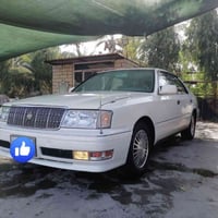 مكلف بالنشر ...من رخصة مدير الكروب للبيع راس الثور كفاله من الكص والضر...