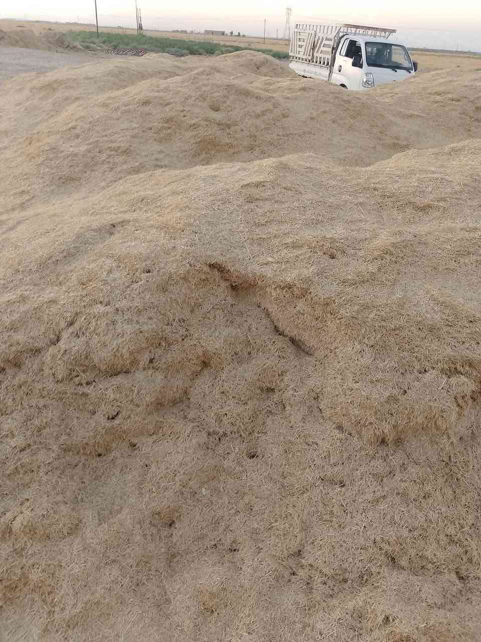 السلام عليكم يوجد تبن درجة اوله راس كوم حجم الكيس 60 سعر الزوج 4الاف يوجد توصيل  مجاني دجيل بلد الضلوعية تكريت سامراء الاسحاقي رقم التلفون ***********
