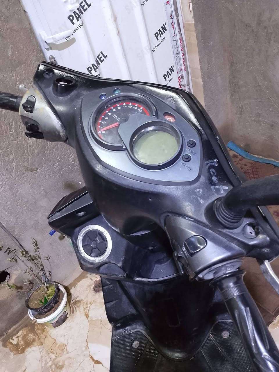 سكنس فحل ياباني كابريترمكفوله
سعر750الف
كوت الانوار 
***********
